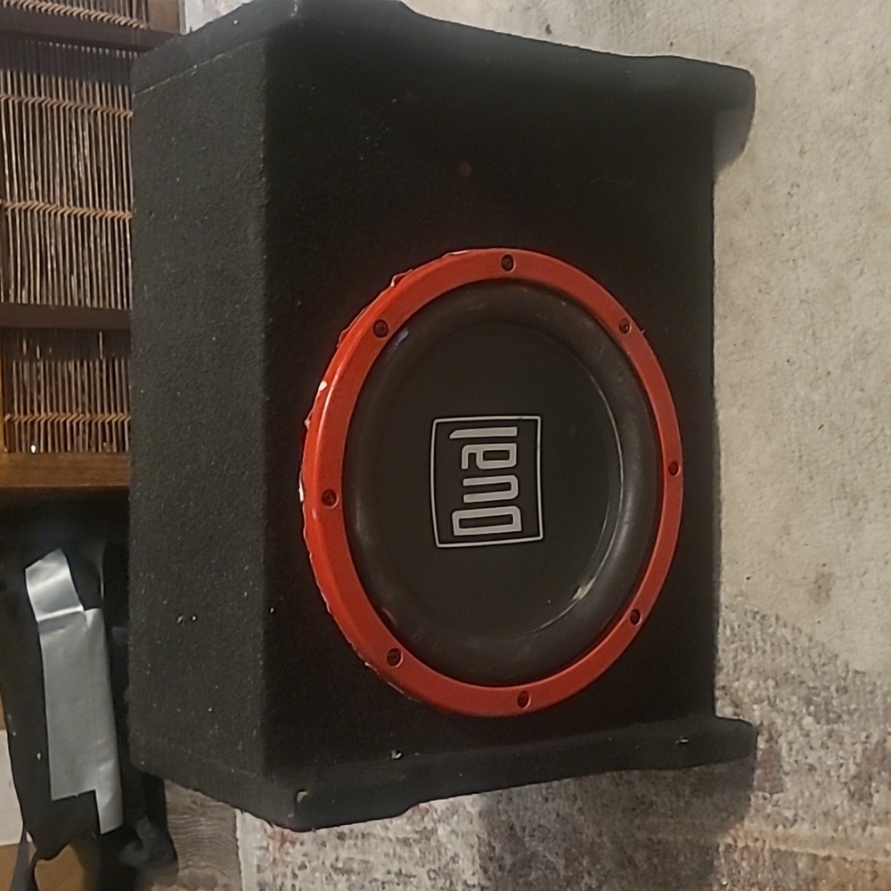 Dual 10 inch subwoofer speaker